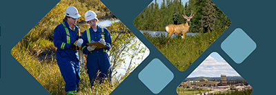 Sustainability Through Action